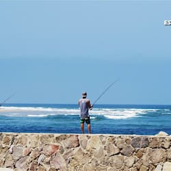 Pesca