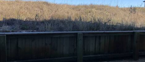 A concrete retaining wall with a grassy area in front.
