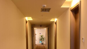 A hotel hallway with patterned carpet, wooden doors, and a potted plant. - Ane Hotel - Xinhong Branch (Chengdu)