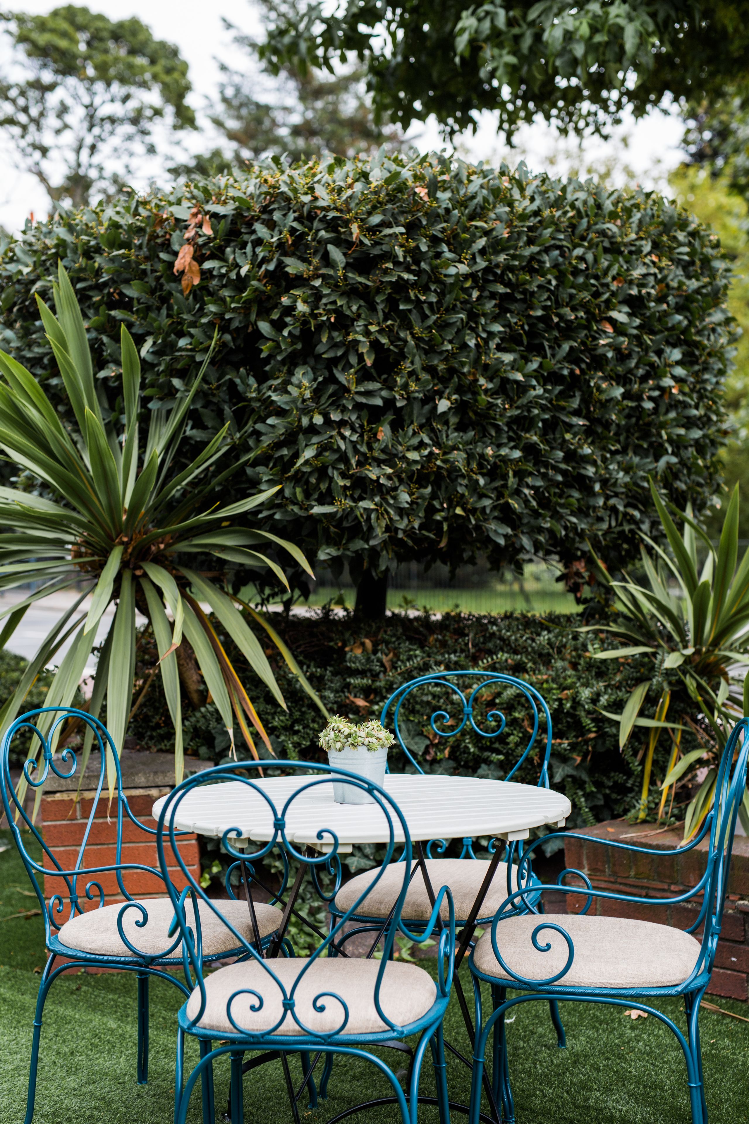 A garden setting with a white table and blue metal chairs, surrounded by lush greenery and a large bush.