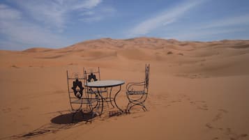 Frühstück, Mittagessen, Abendessen, Blick auf den Garten