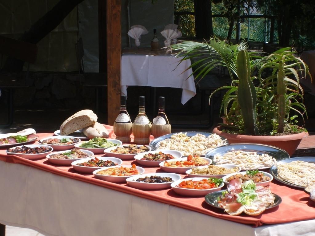 Una mesa de buffet con diversos platos y bebidas, rodeada de plantas en macetas y un ambiente rústico.