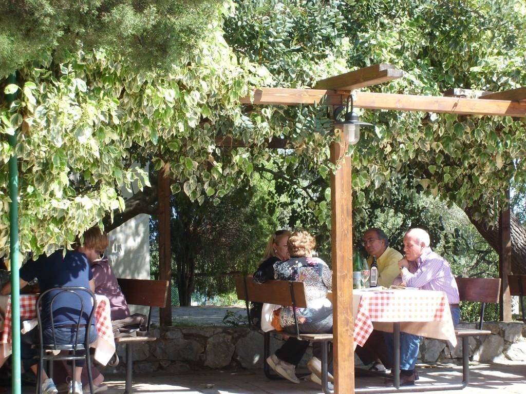 Area salotto esterna con tavoli e panche in legno, riparata da una pergola ricoperta di piante rampicanti.