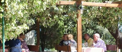 Un espacio al aire libre con mesas y bancos de madera bajo una pérgola cubierta de plantas trepadoras.