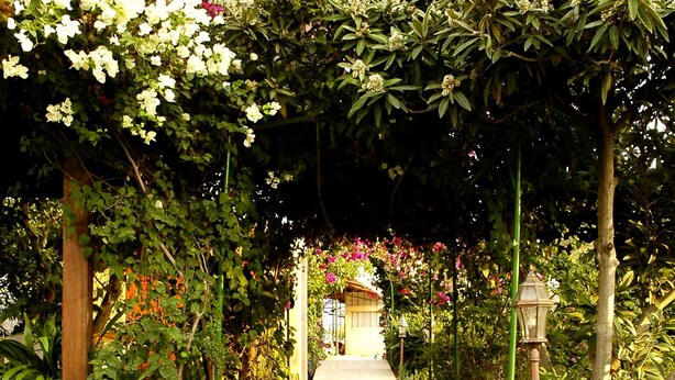 Garden - Arbel Guest House Shavit Family (Galil Tachton)