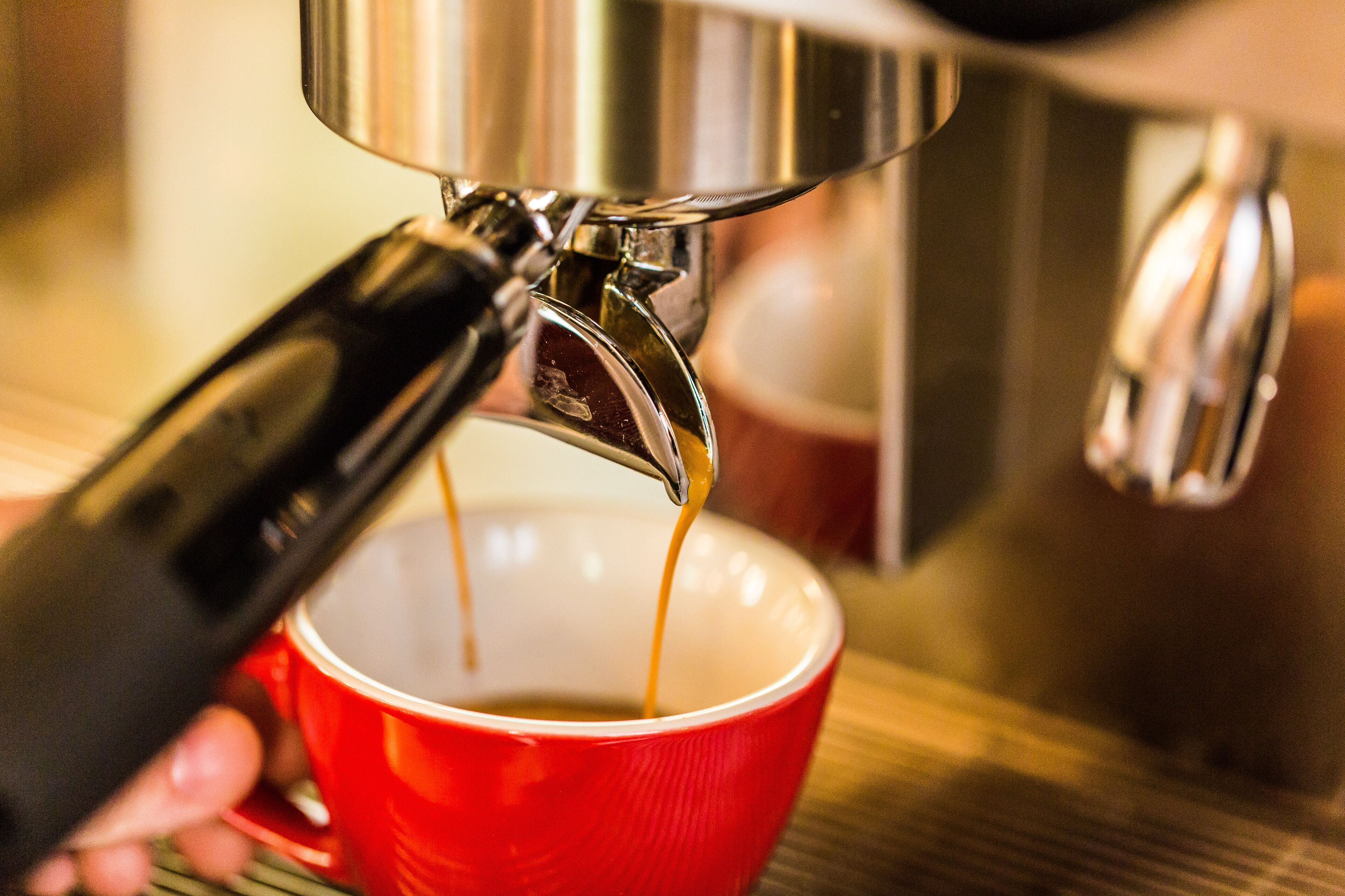 studio suite | 1 bedroom, minibar, in-room safe, individually decorated