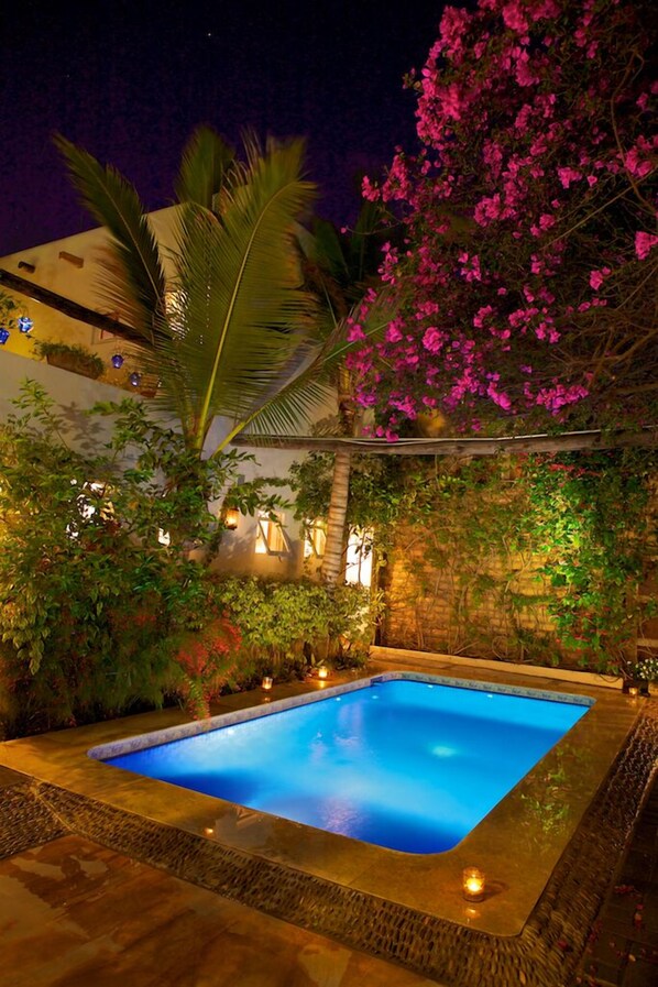 Outdoor pool, pool umbrellas, sun loungers