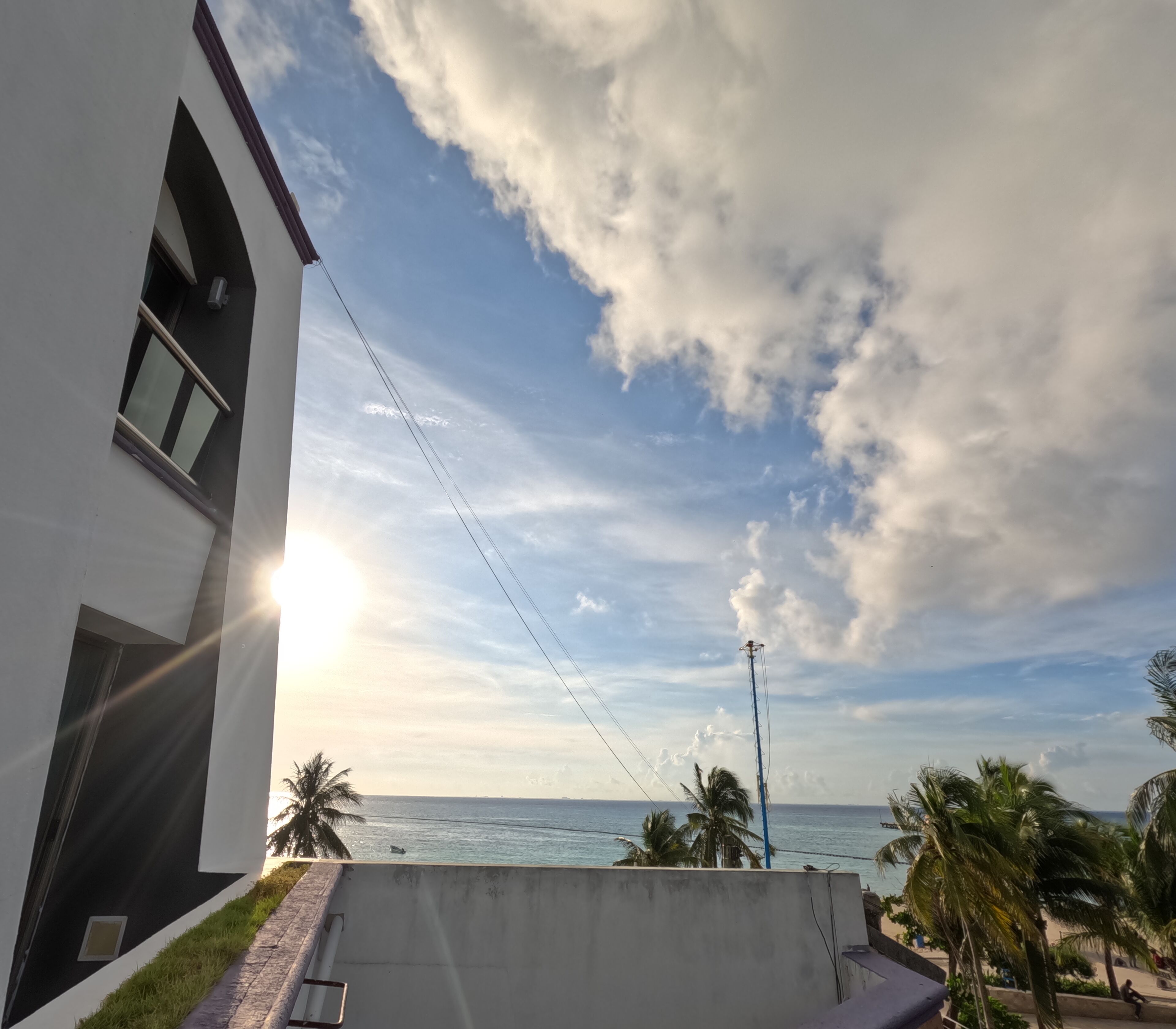 A modern building with a view of the ocean and palm trees.