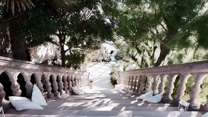 A pathway with a balustrade leading to a seating area, surrounded by trees and a tiled floor. - Hotel Villa Margherita (Livorno)