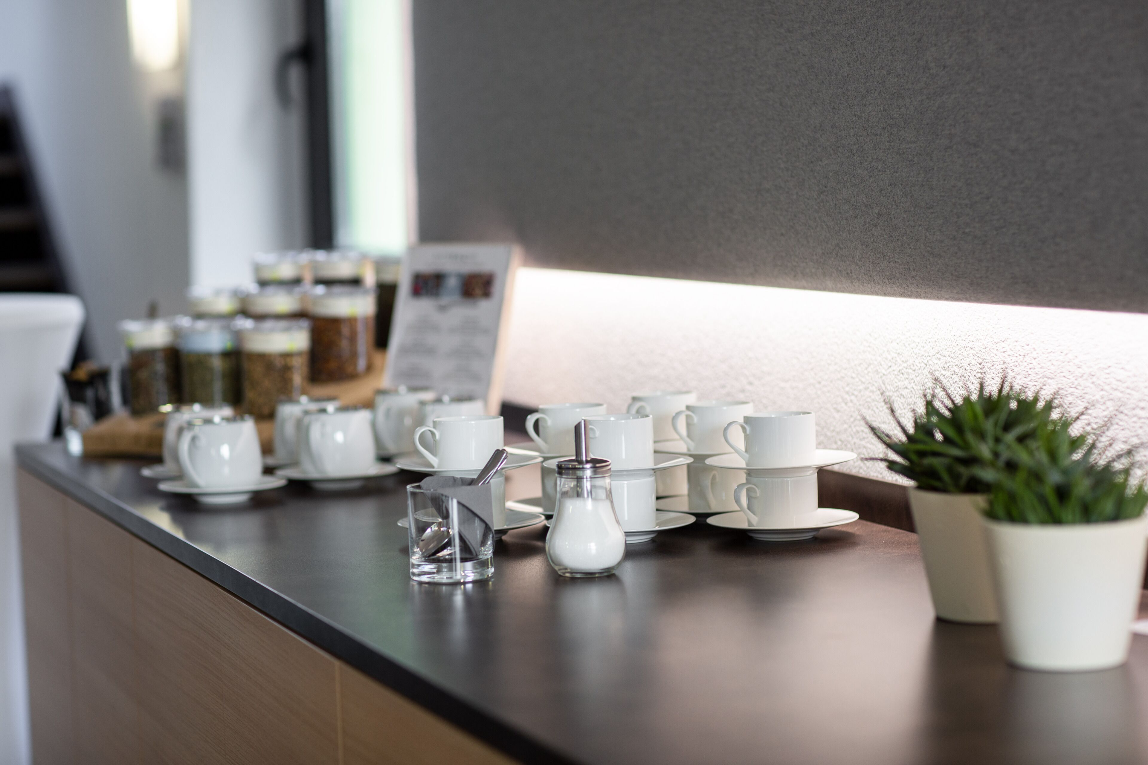 A neatly arranged counter with white cups, saucers, and a small potted plant.