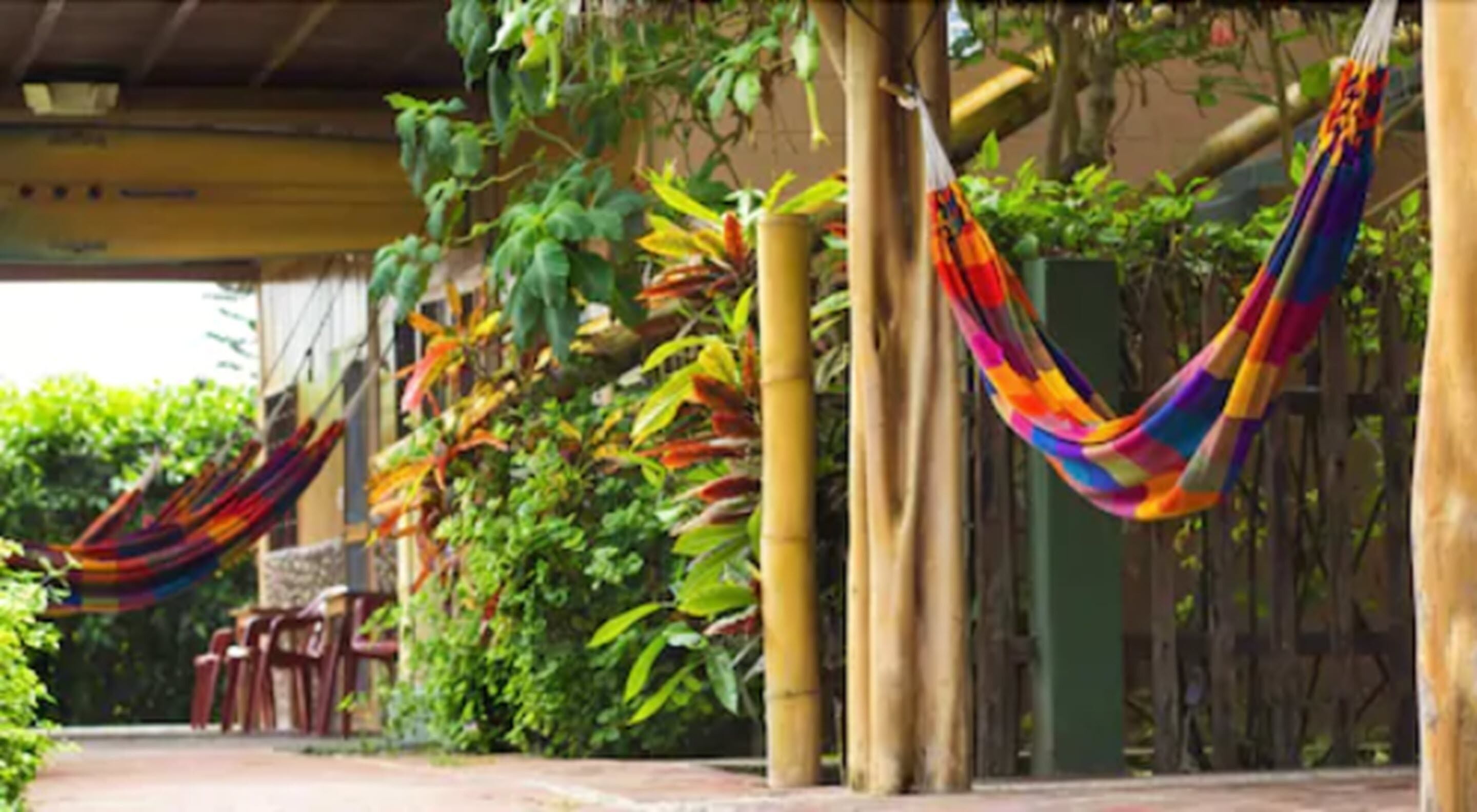 A covered outdoor area with hammocks hanging between bamboo poles, surrounded by lush greenery.