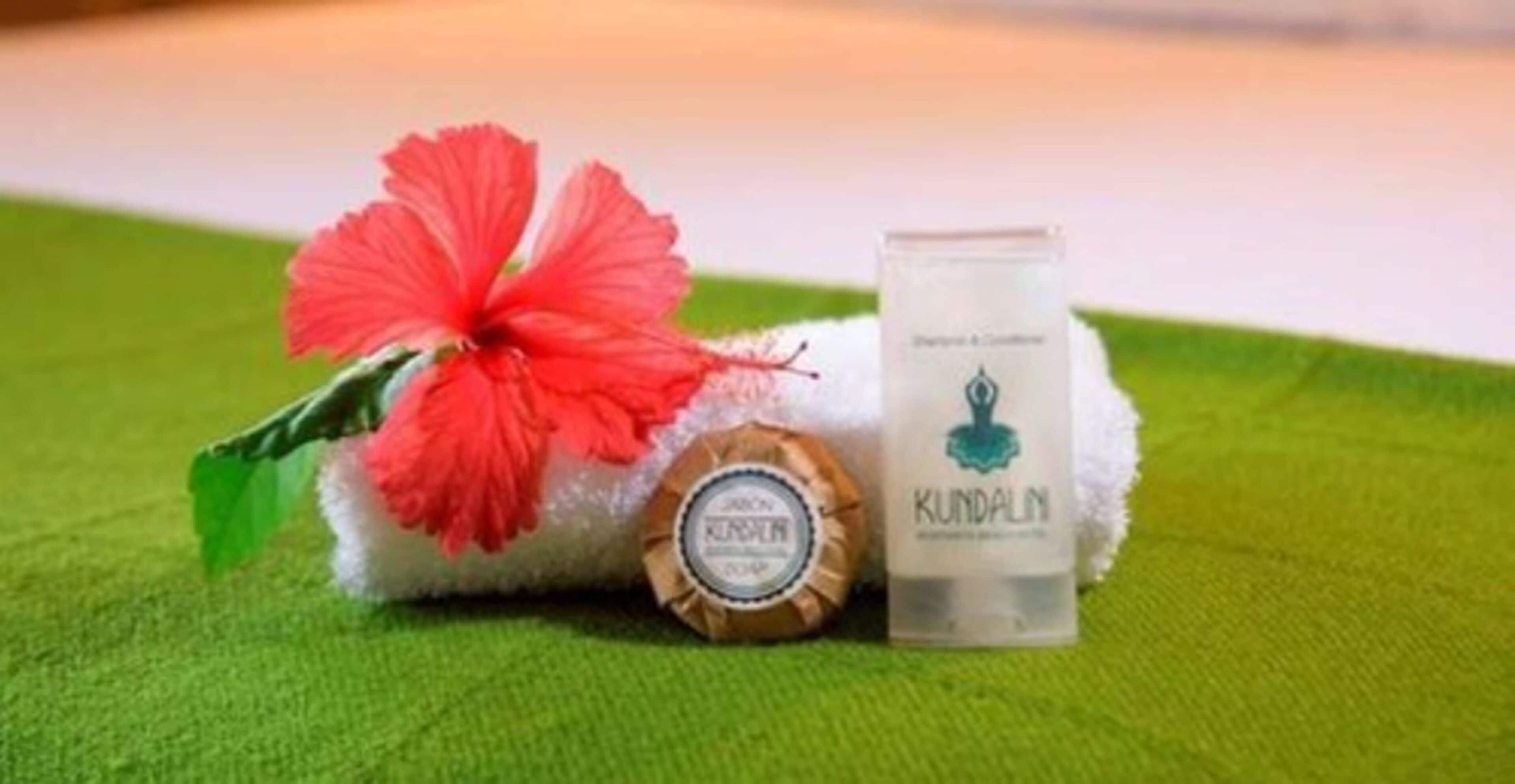 1 bedroom, hypo-allergenic bedding, in-room safe, bed sheets