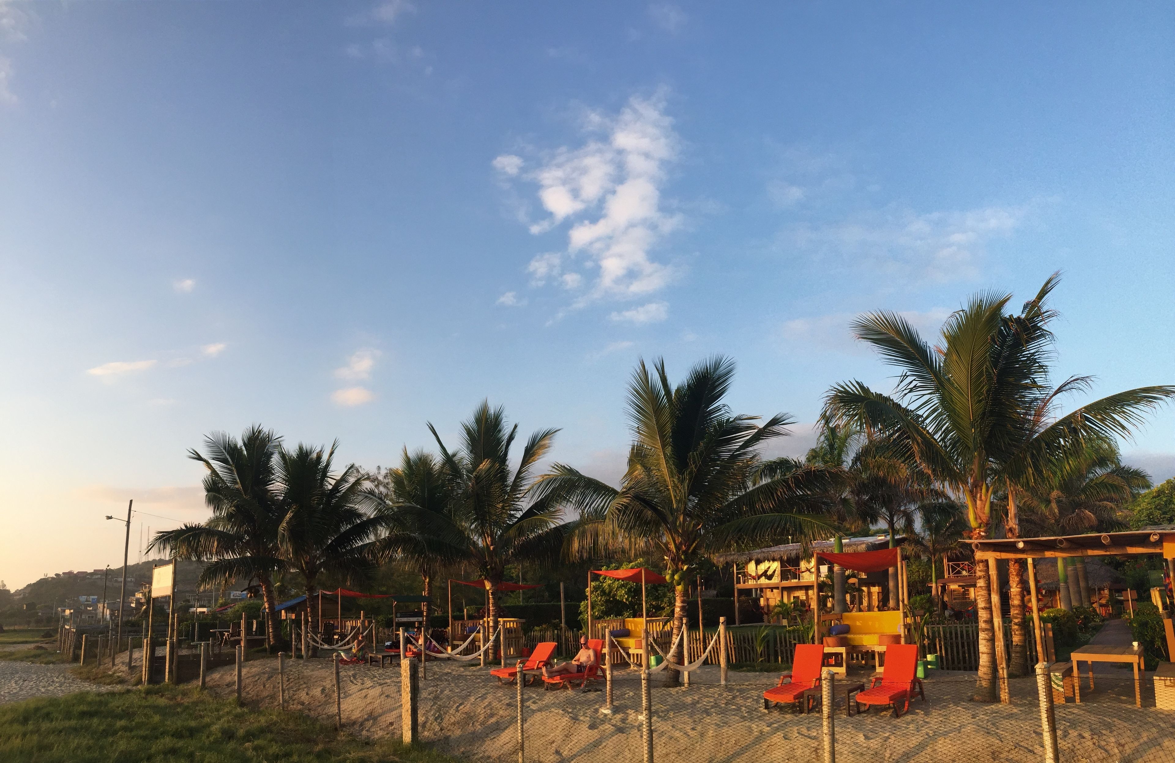 A beachside resort with palm trees, sun loungers, and a thatched-roof building.