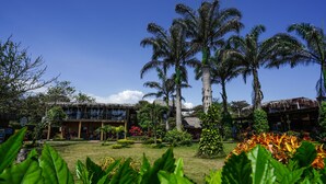 Un resort con varias construcciones, palmeras y jardines bien cuidados.