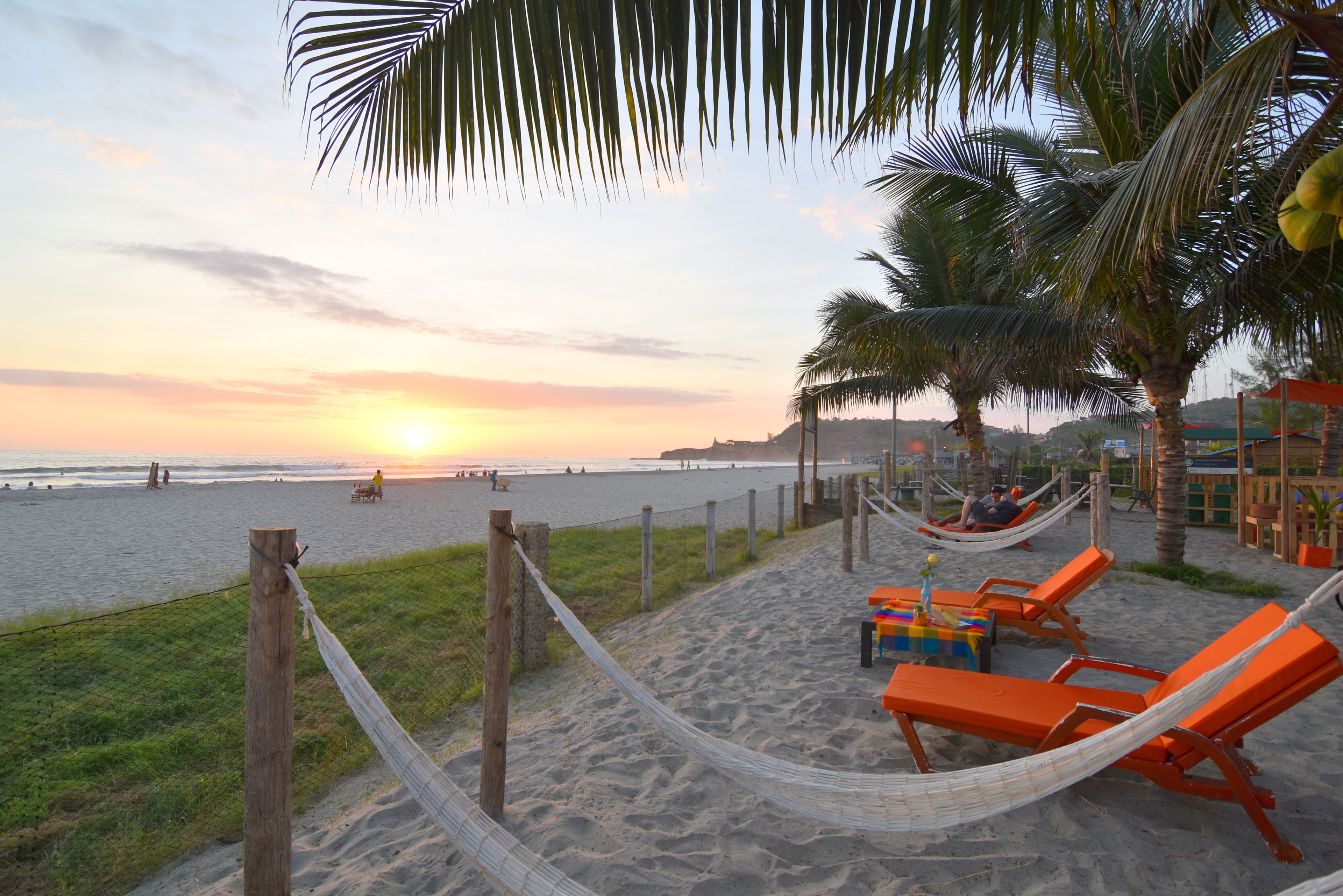 A beach with hammocks and lounge chairs, a wooden fence, and palm trees.