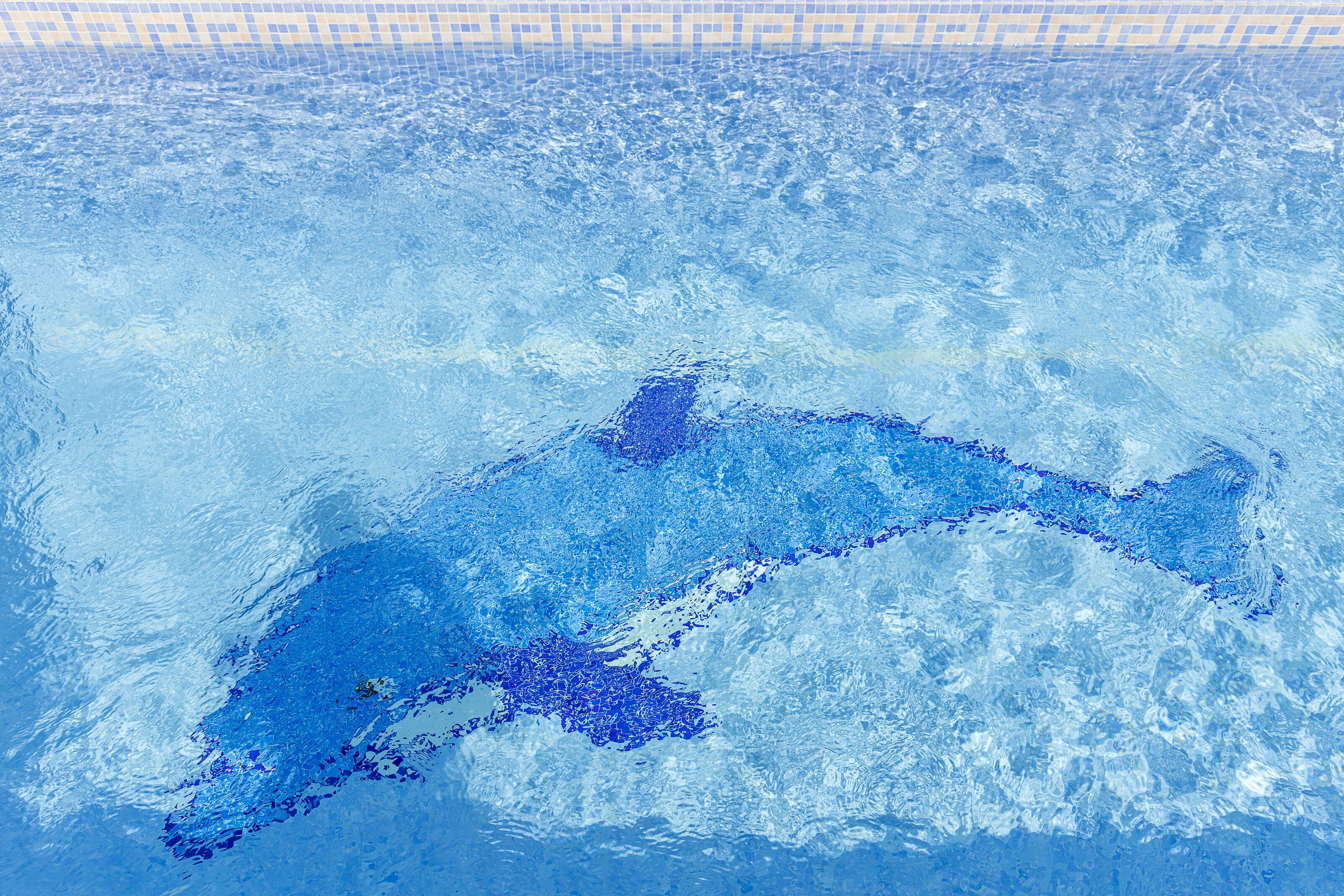 Une piscine à l’eau d’un bleu cristallin, dont la surface est décorée d’un motif en forme de dauphin.