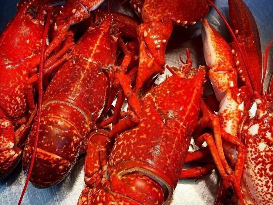 Primer plano de varios langostinos cocidos con sus conchas intactas, sobre una superficie metálica.