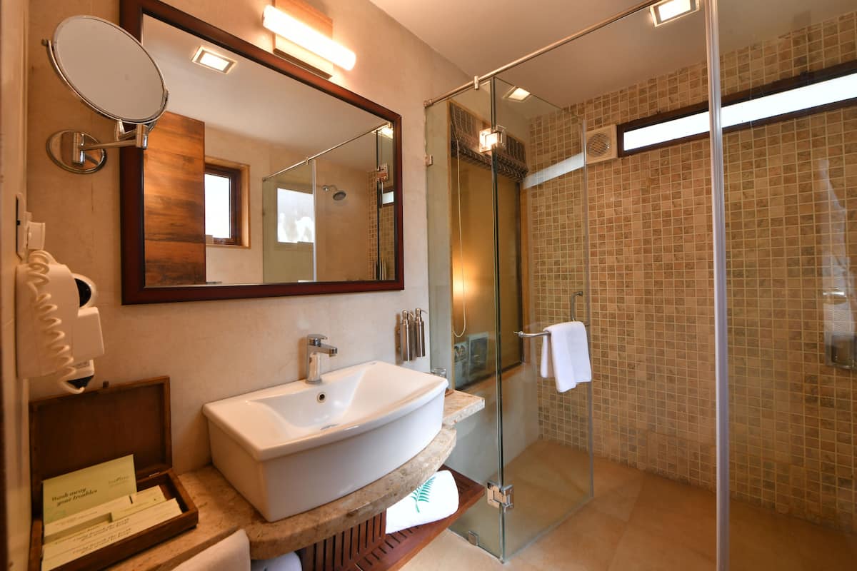 shower, rainfall showerhead, free toiletries, hair dryer