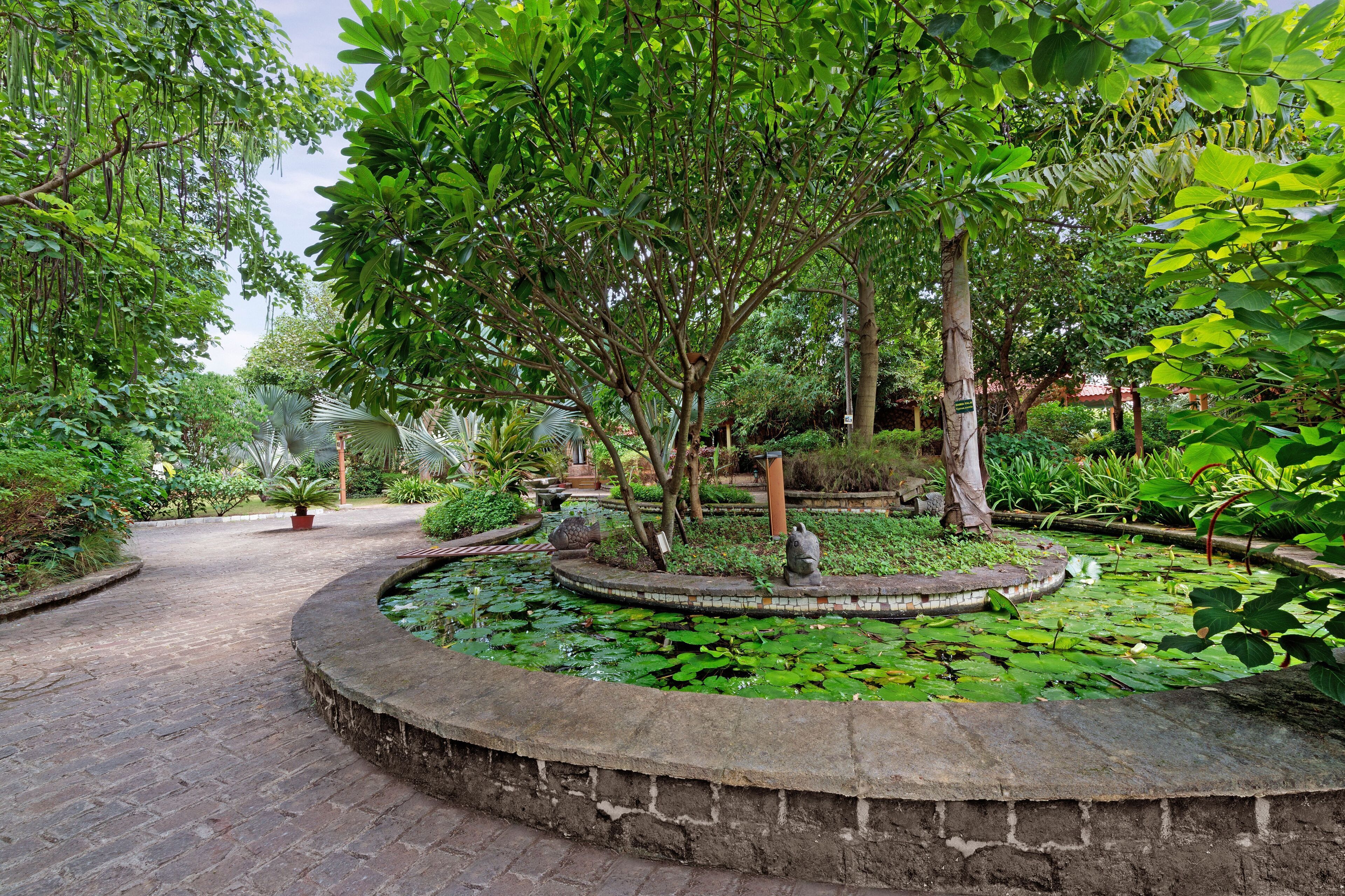 Jardín