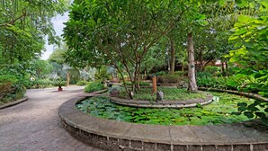 Un jardin avec un bassin circulaire, un sentier en pierre et différentes espèces de plantes.