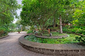 Vườn