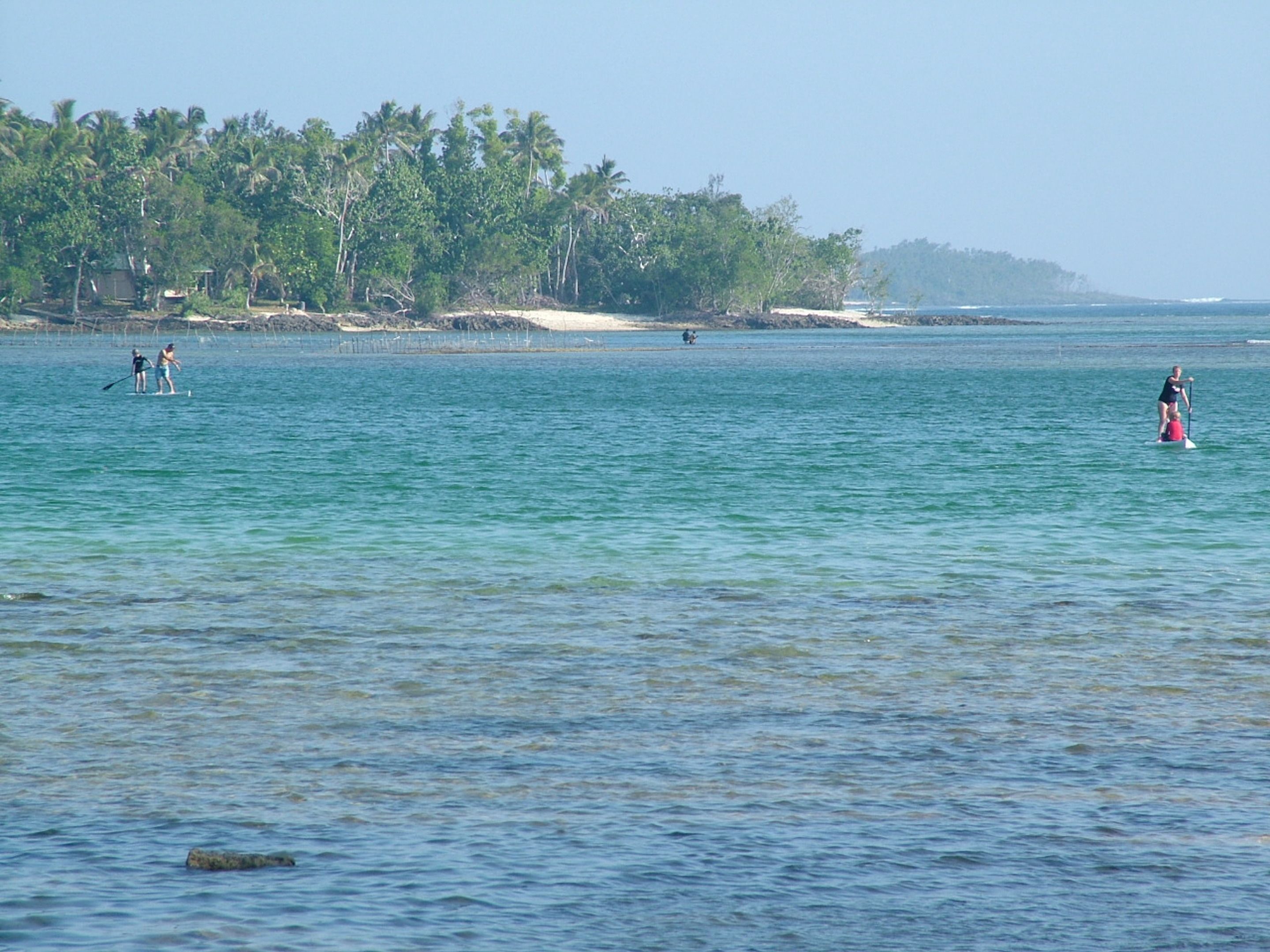 A beach with clear water, palm trees, and a distant shoreline.
