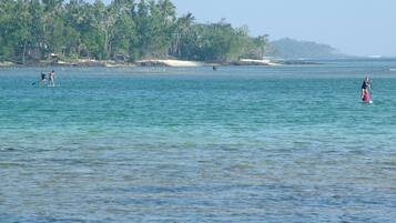 A beach with clear water, palm trees, and a distant shoreline.
