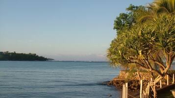 A coastal scene with calm waters, a sandy beach, and a palm tree.