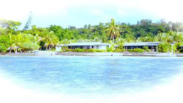 Outdoor pool, free pool cabanas, pool loungers