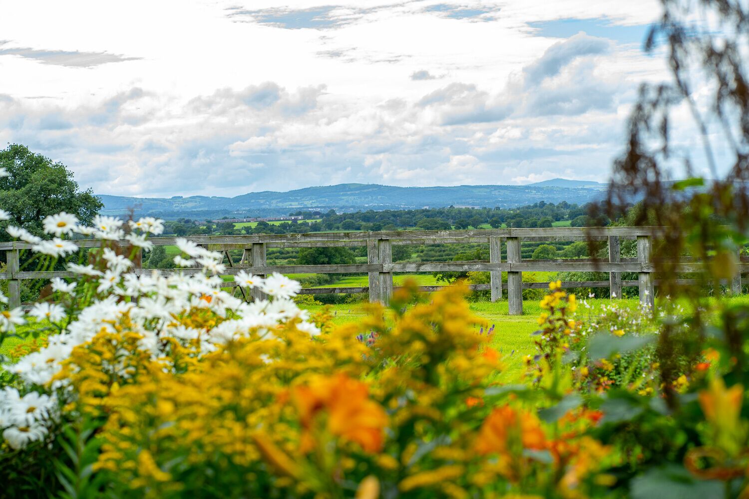A rural landscape with a wooden fence, green fields, and distant hills.