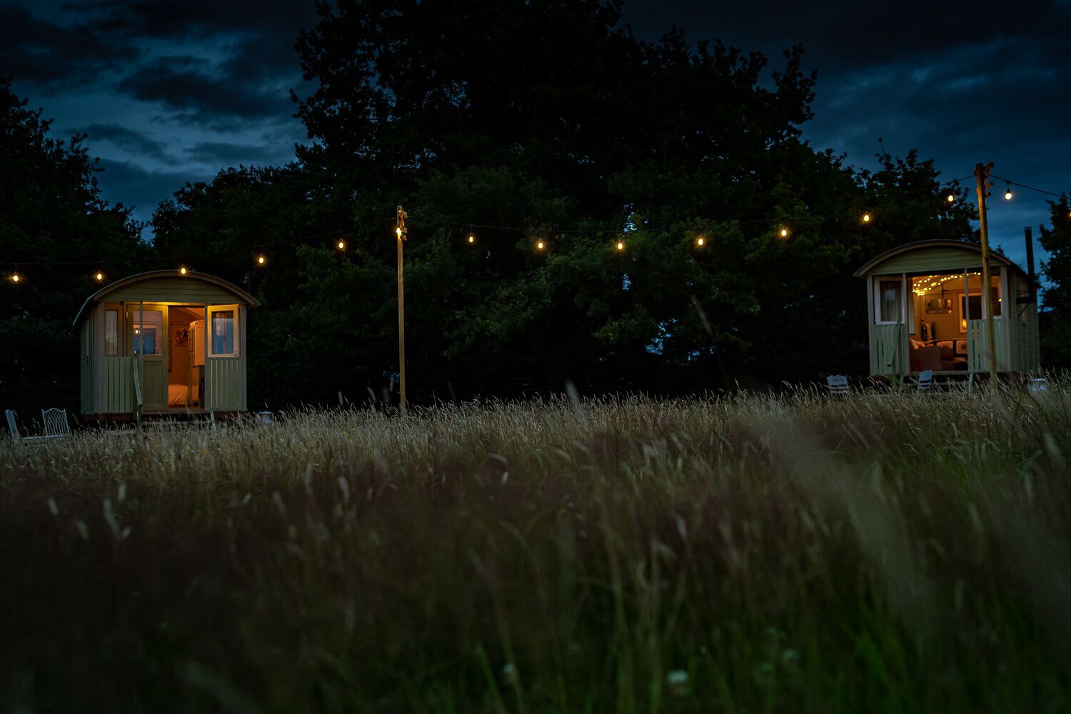 Two small, single-story cabins with open doors, surrounded by tall grass and trees, under a dark sky.