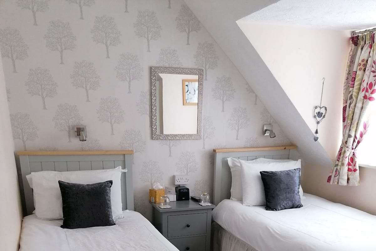 A bedroom with two beds, a nightstand, a chair, and a mirror.