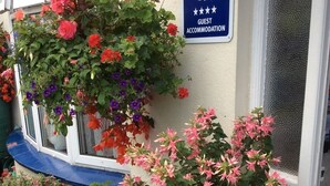 Señal de alojamiento con decoración floral y una ventana con repisa azul.