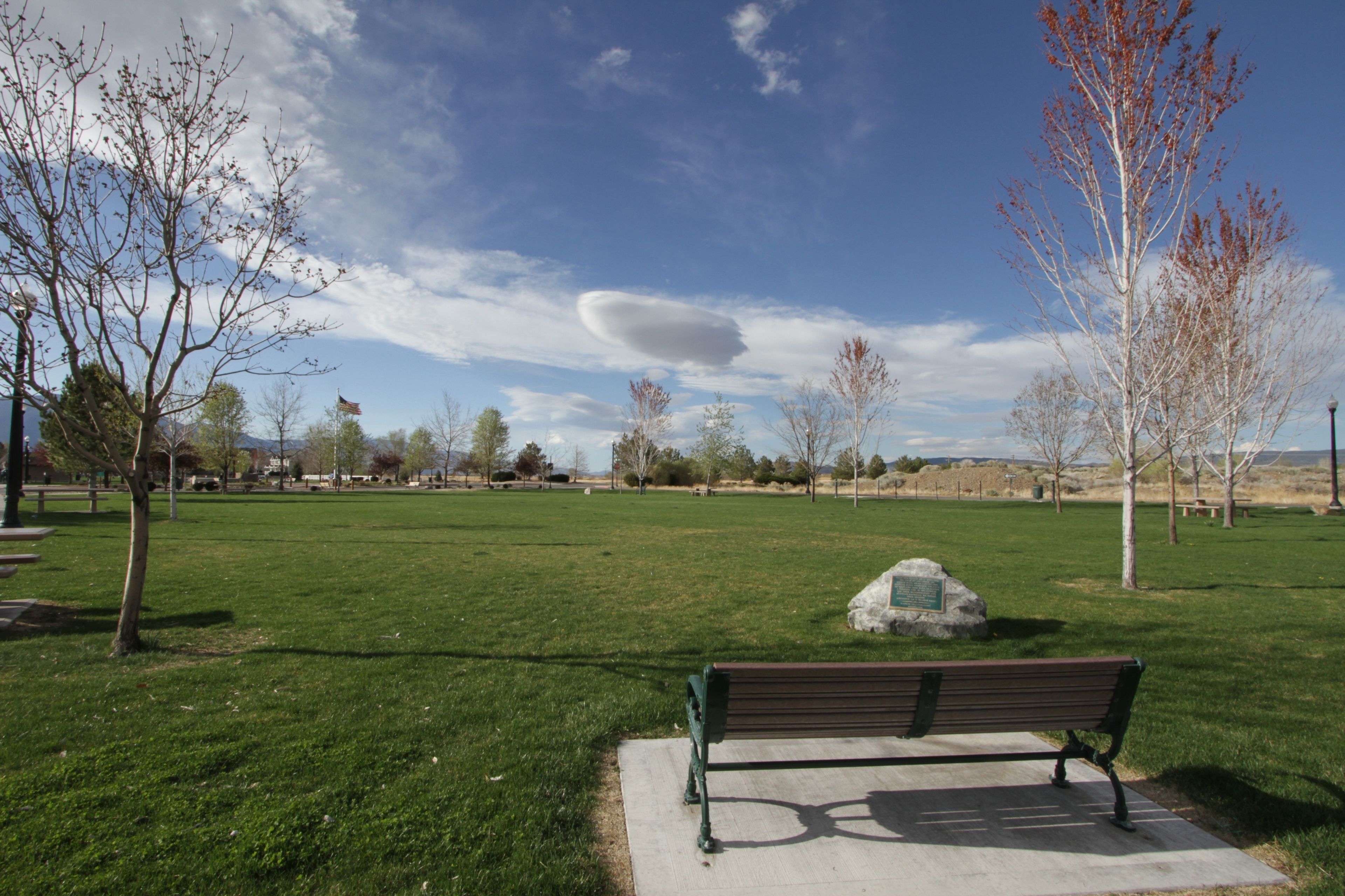 A park with a bench, green grass, and leafless trees.