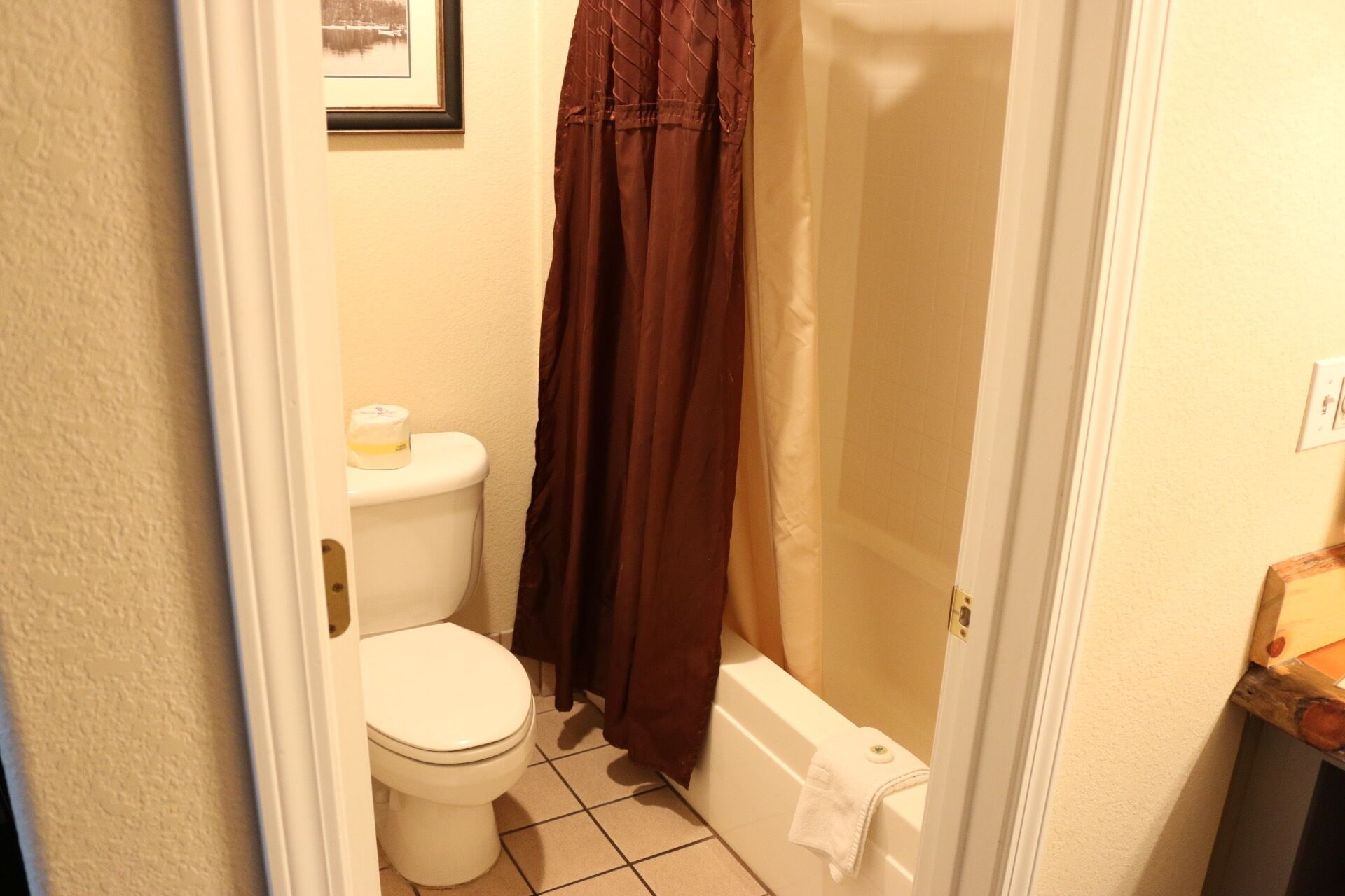A bathroom with a toilet, a bathtub, and a shower curtain.