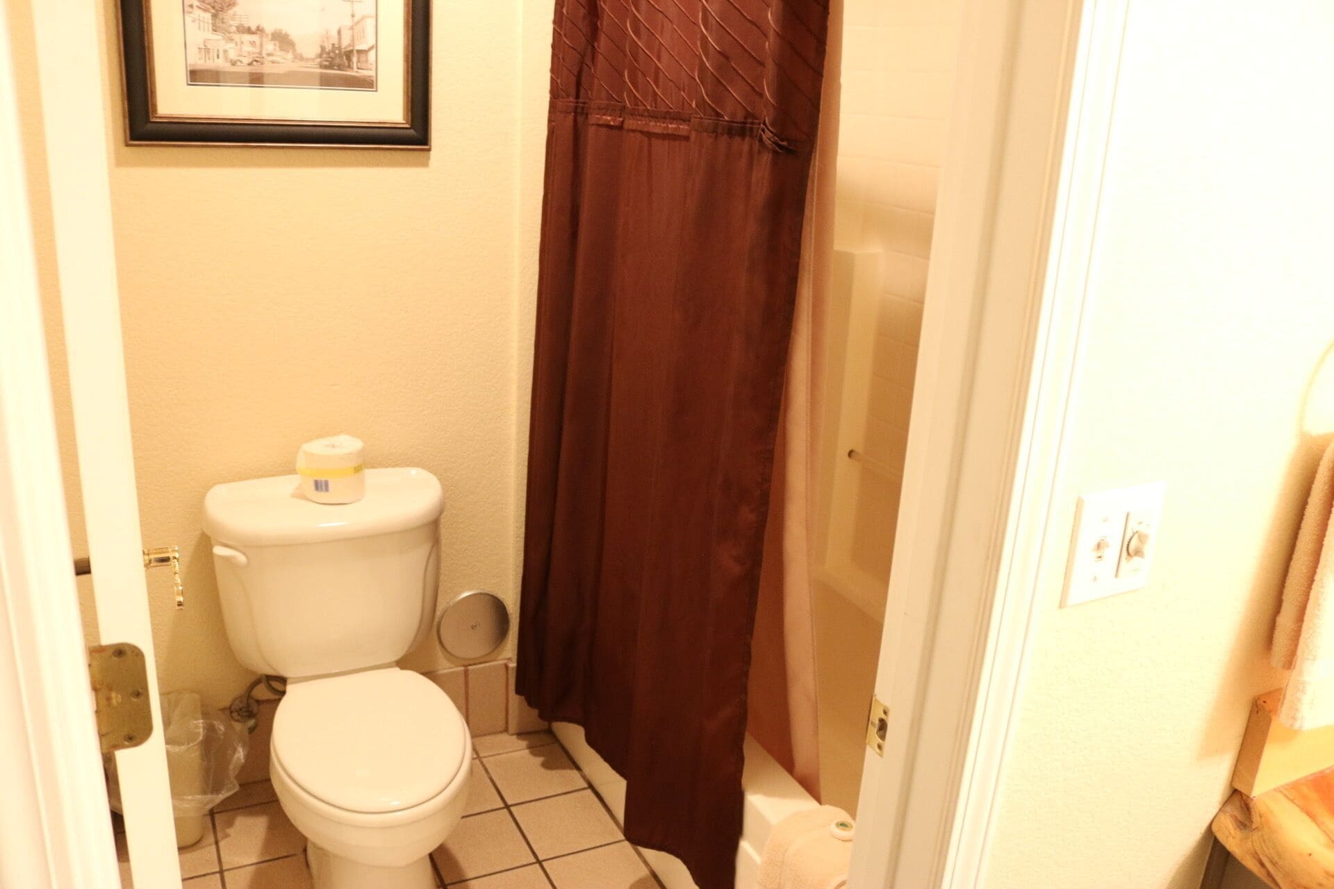 Een kleine badkamer met toilet, douchegordijn en een lijst met een afbeelding aan de muur.