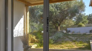 Unclassified image, 4 of 49, button - Olivemare (Kefalonia)