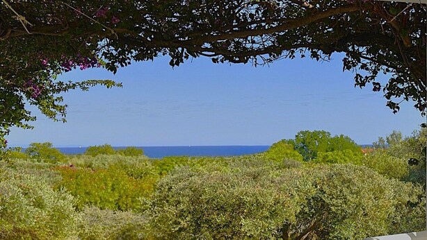 Unclassified image, 1 of 49, button - Olivemare (Kefalonia)