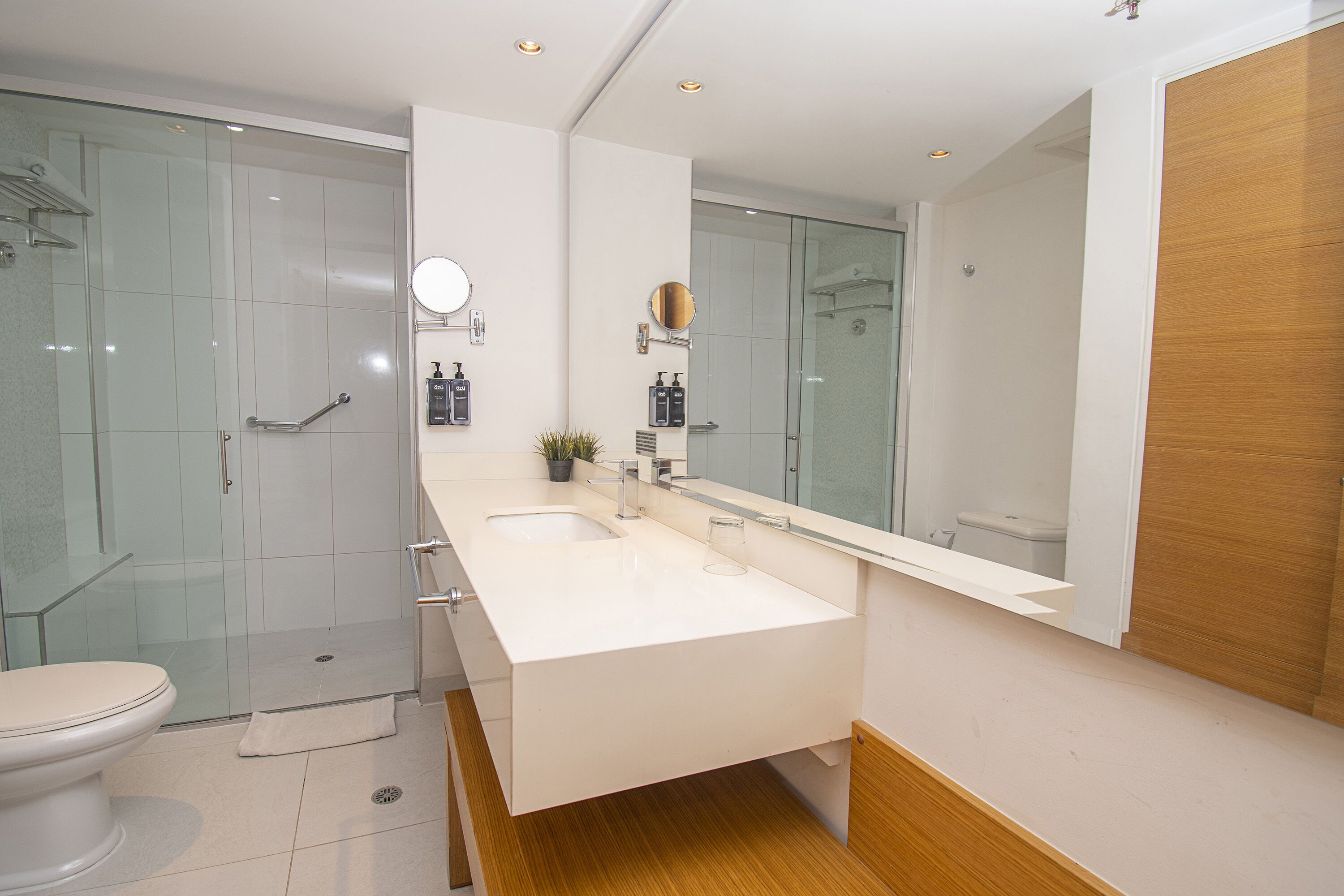 deluxe room | bathroom | shower, hair dryer, towels