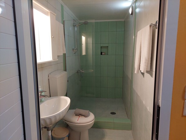A small bathroom with a toilet, sink, and shower stall. - Ela mesa (Aegina)