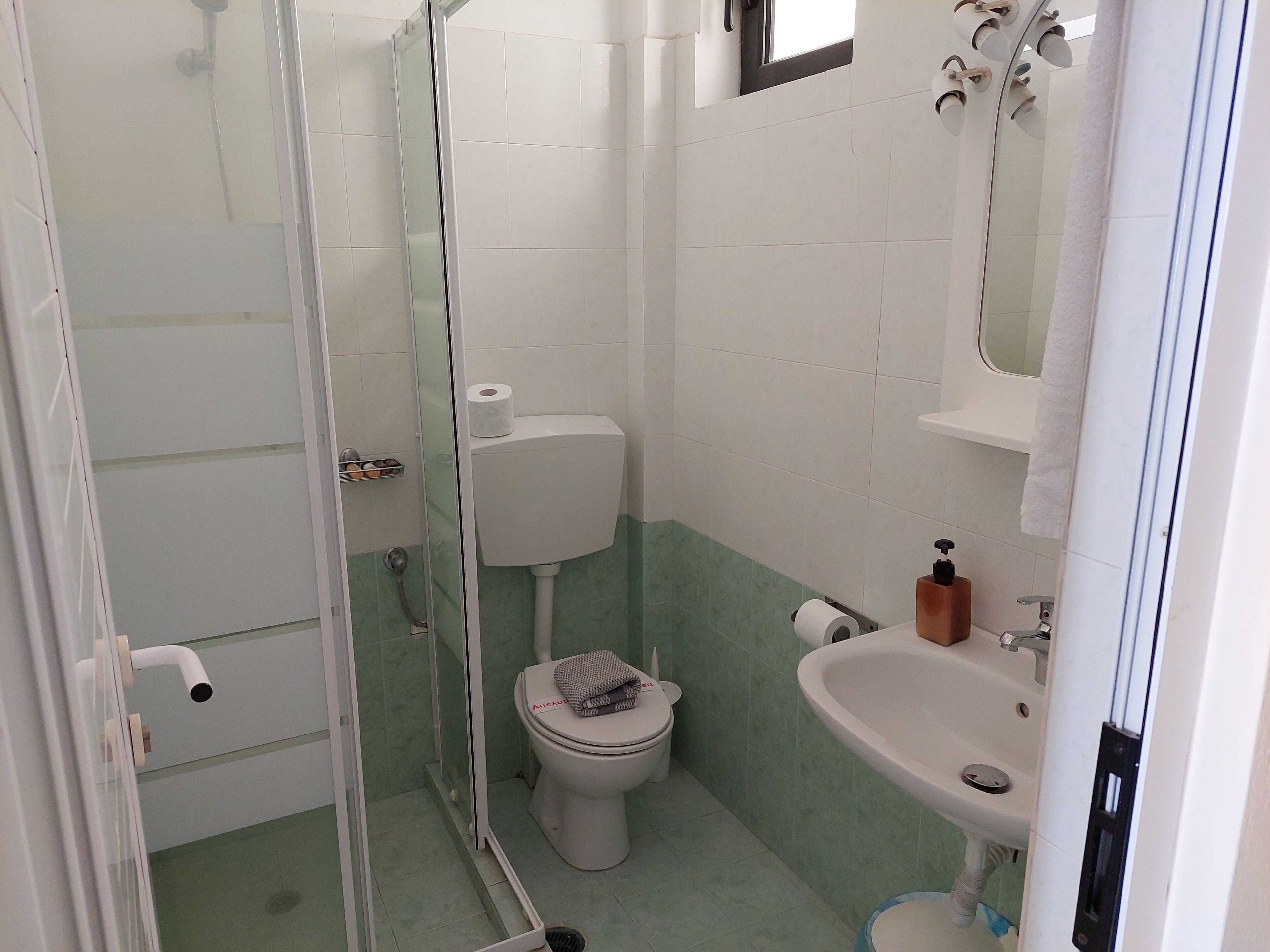 A bathroom with a glass shower enclosure, a toilet, a sink, and a mirror.