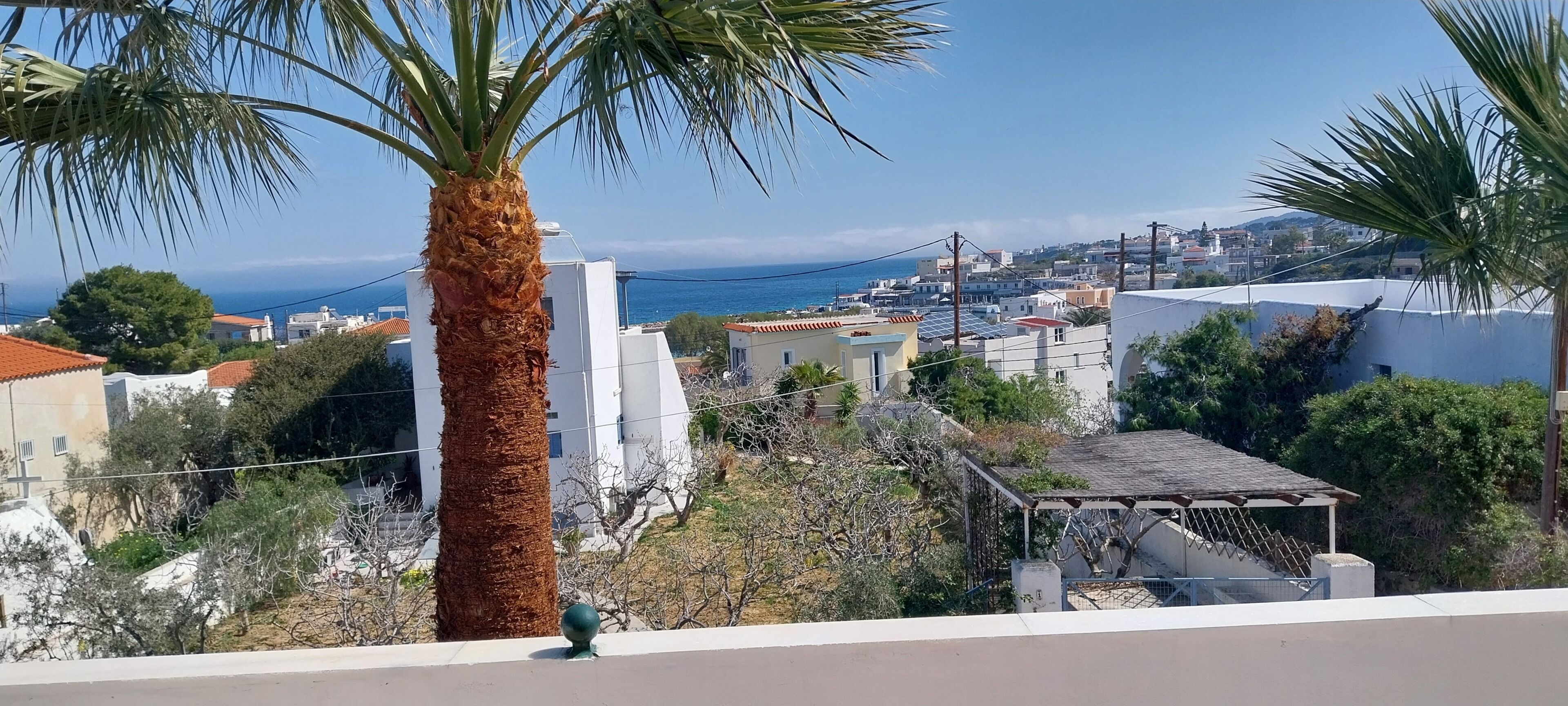 Un quartier résidentiel avec des maisons, un palmier et une vue sur la mer.