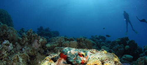 Aqaba Adventure Divers Village