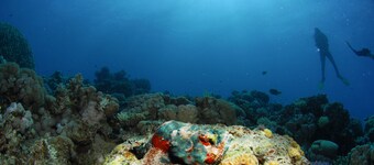 Aqaba Adventure Divers Village