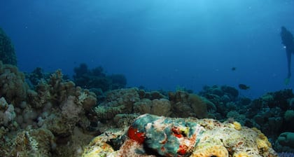 Aqaba Adventure Divers Village