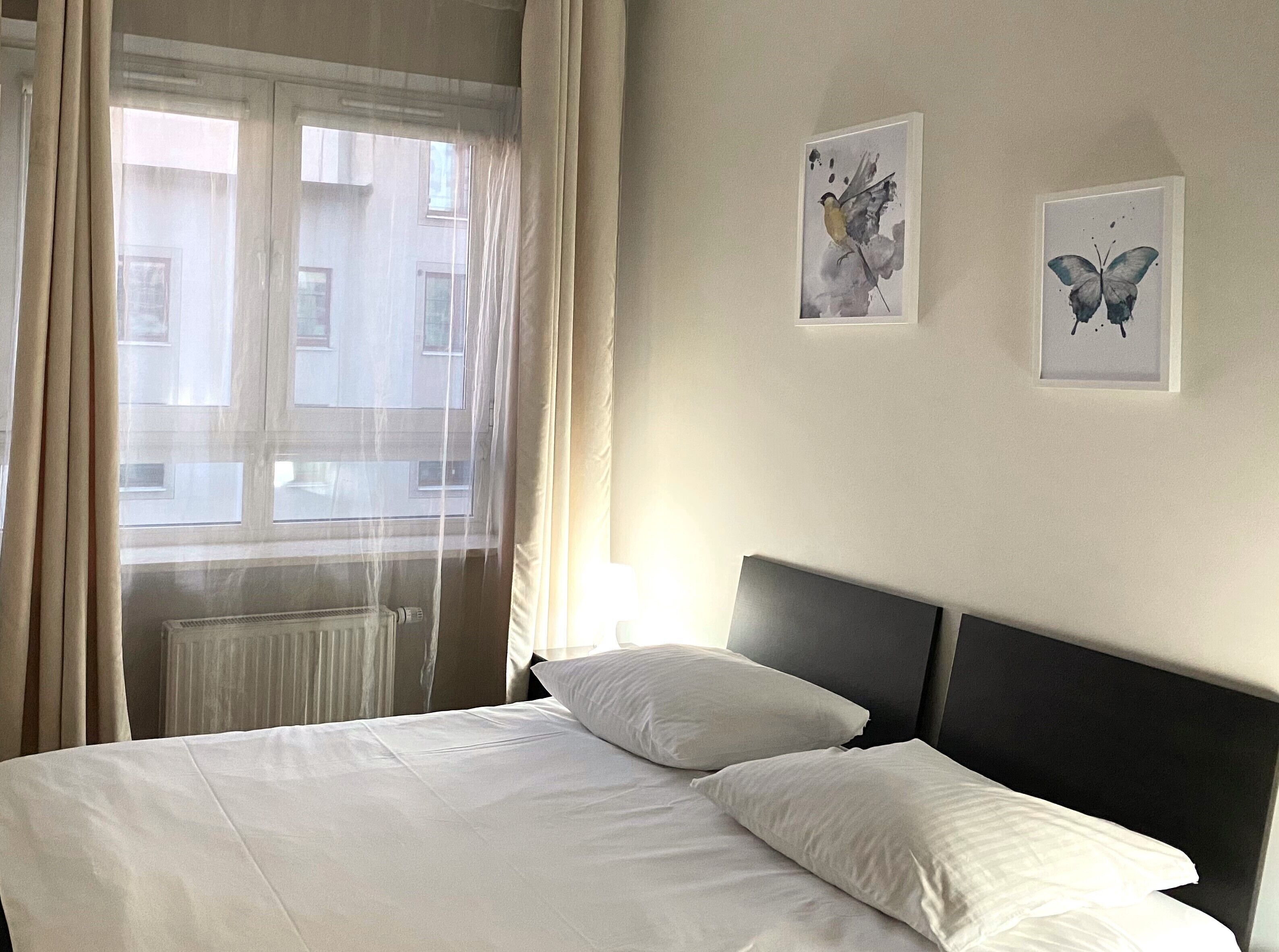 A hotel room with a bed, two pillows, a window with curtains, and two framed butterfly artworks on the wall.