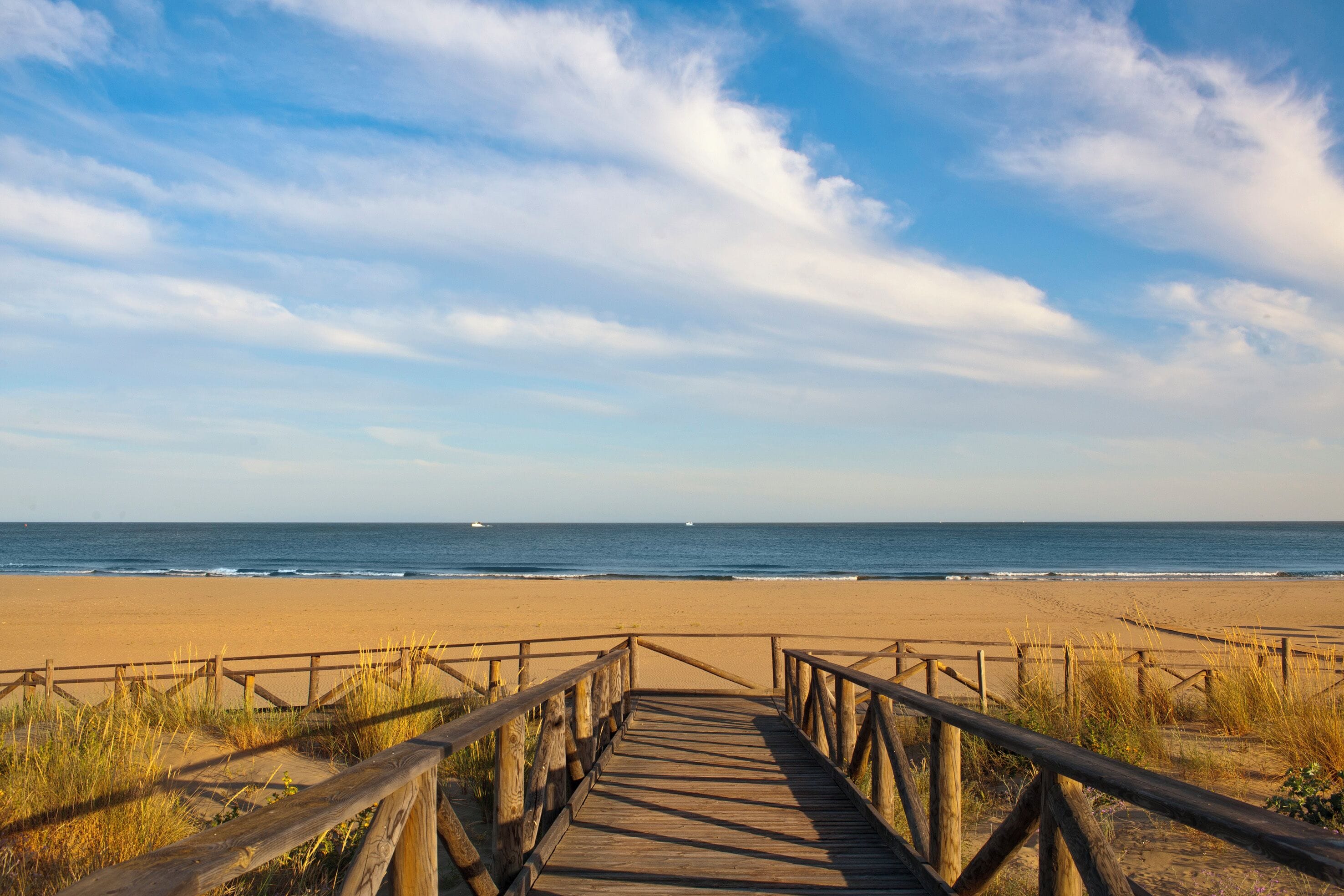 Accommodatie ligt op het strand, ligstoelen, parasols, strandlakens