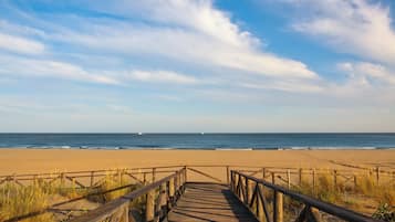 Accommodatie ligt op het strand, ligstoelen, parasols, strandlakens