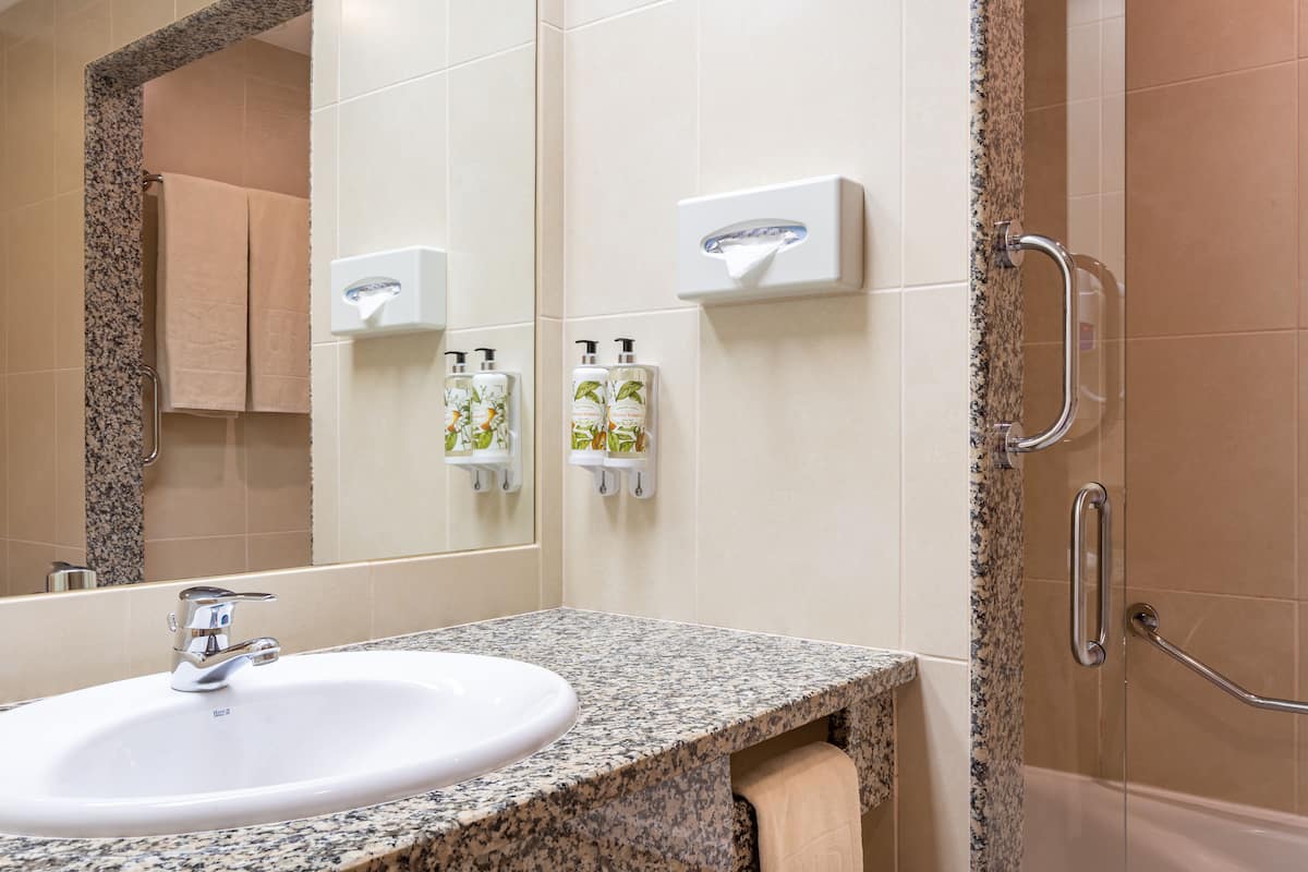 bathtub, hair dryer, bidet, towels