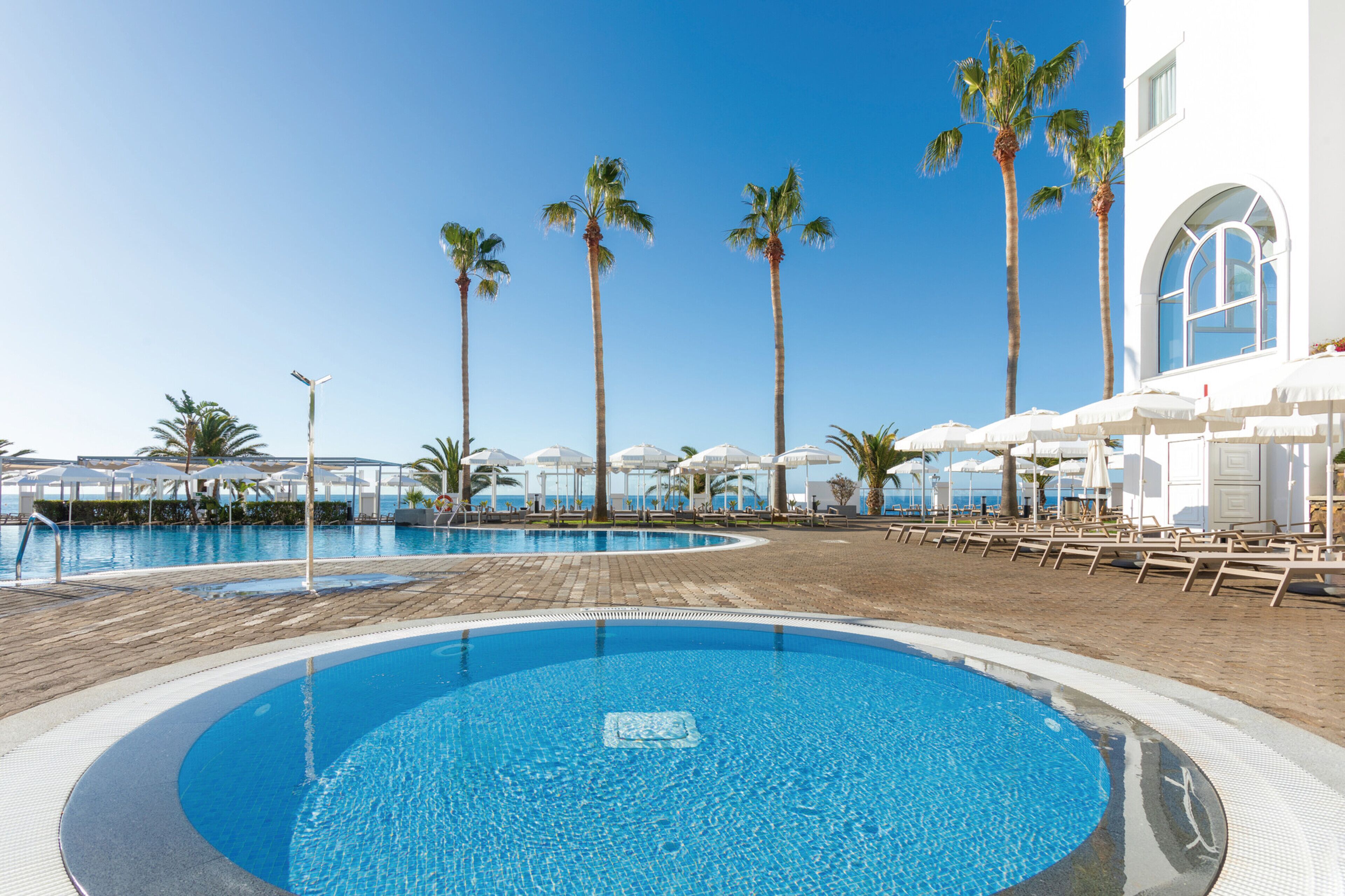 Un área de piscina con palmeras, sillas de descanso y sombrillas.